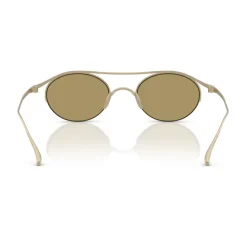 AR6172T Sunglasses