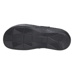 Canaro Mule