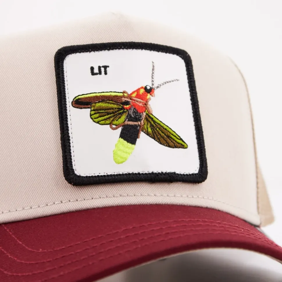 Chapeaux et Casquettes Élégants