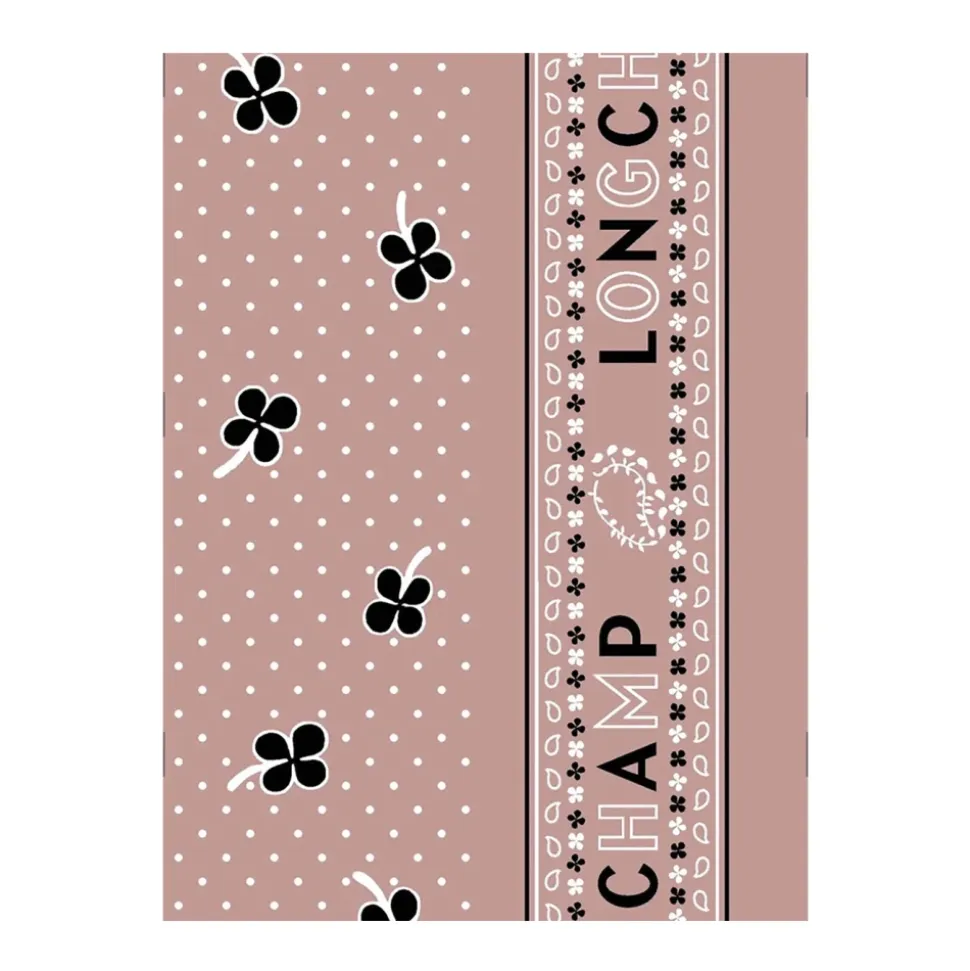 Écharpe Rose Paisley Floral Soie Femme