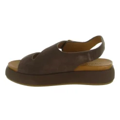 Chaussures D51049