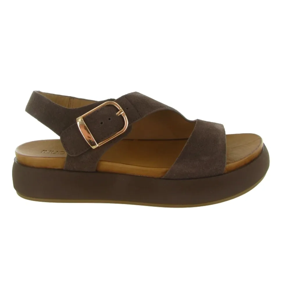 Chaussures D51049