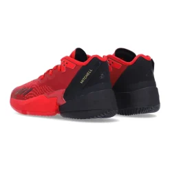 Chaussures de sport d`équipe