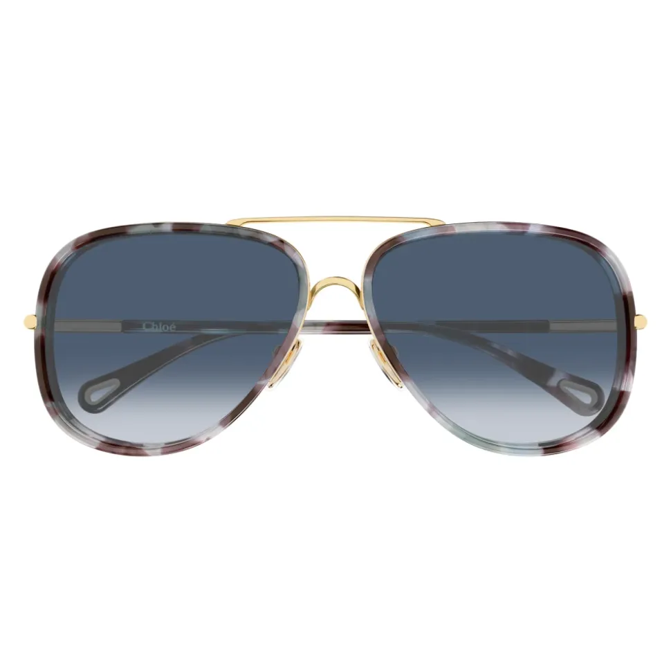 CH0382S 001 Sunglasses