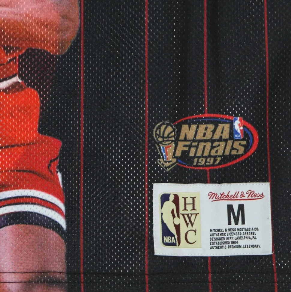 Débardeur Chicago Bulls Scottie Pippen