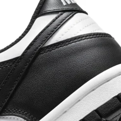 Dunk Low Retro