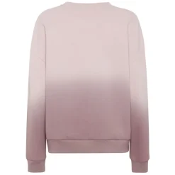 Hooded Sweatshirt Degrade