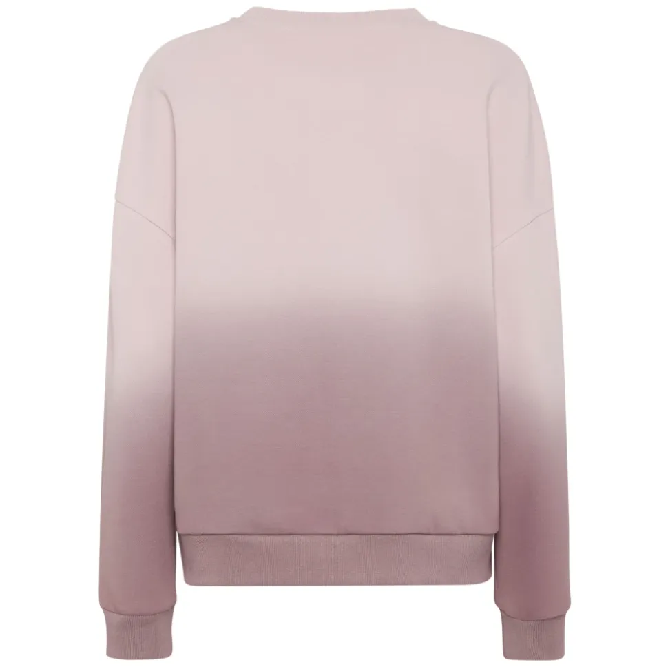 Hooded Sweatshirt Degrade