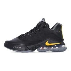 LeBron XIX Low Baskets