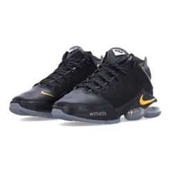 LeBron XIX Low Baskets