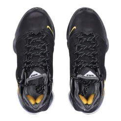 LeBron XIX Low Baskets