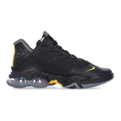 LeBron XIX Low Baskets