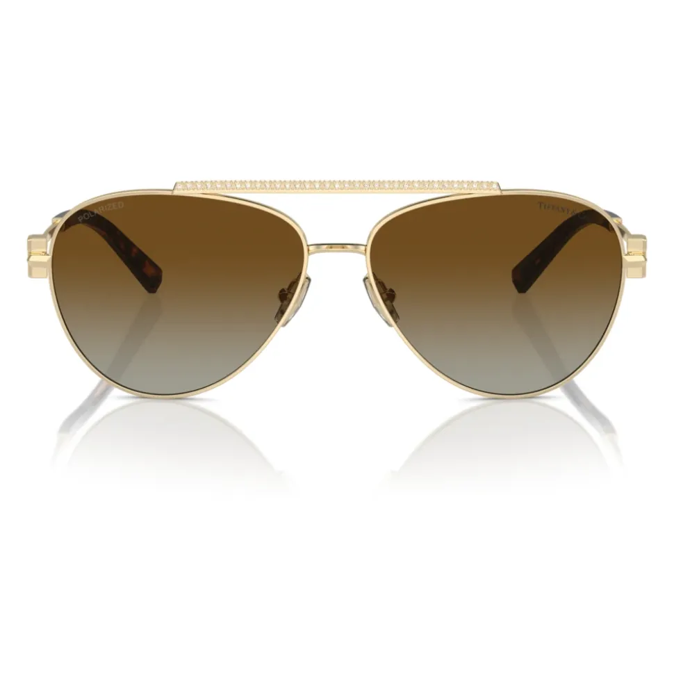 Lunettes de soleil élégantes en dégradé marron