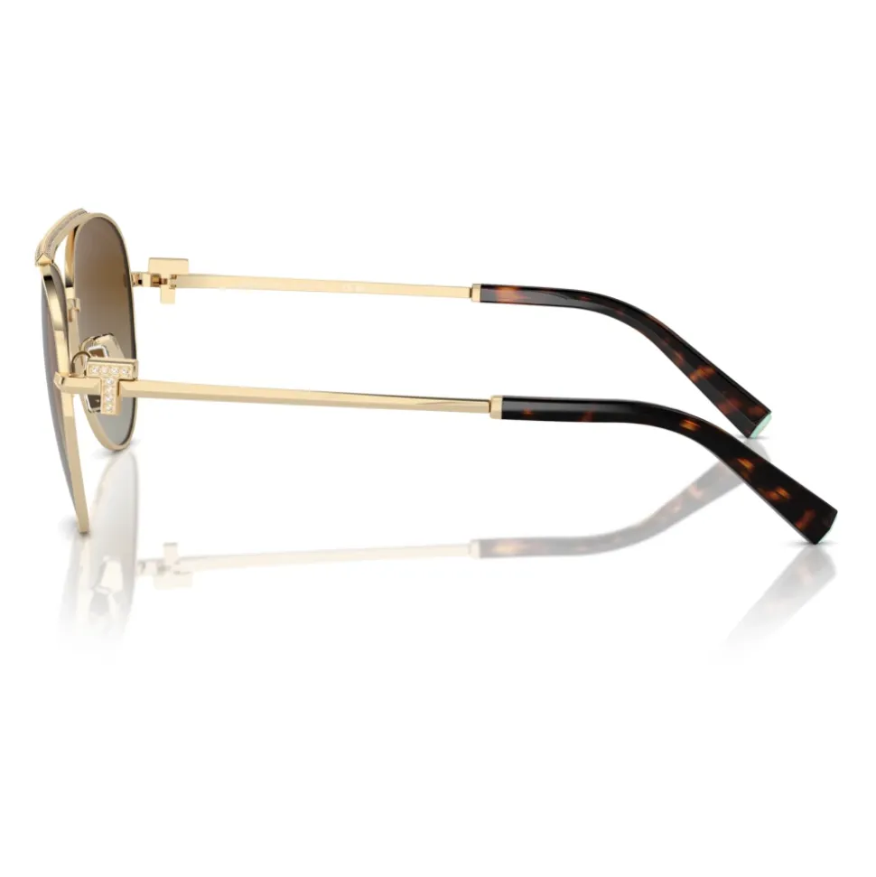 Lunettes de soleil élégantes en dégradé marron