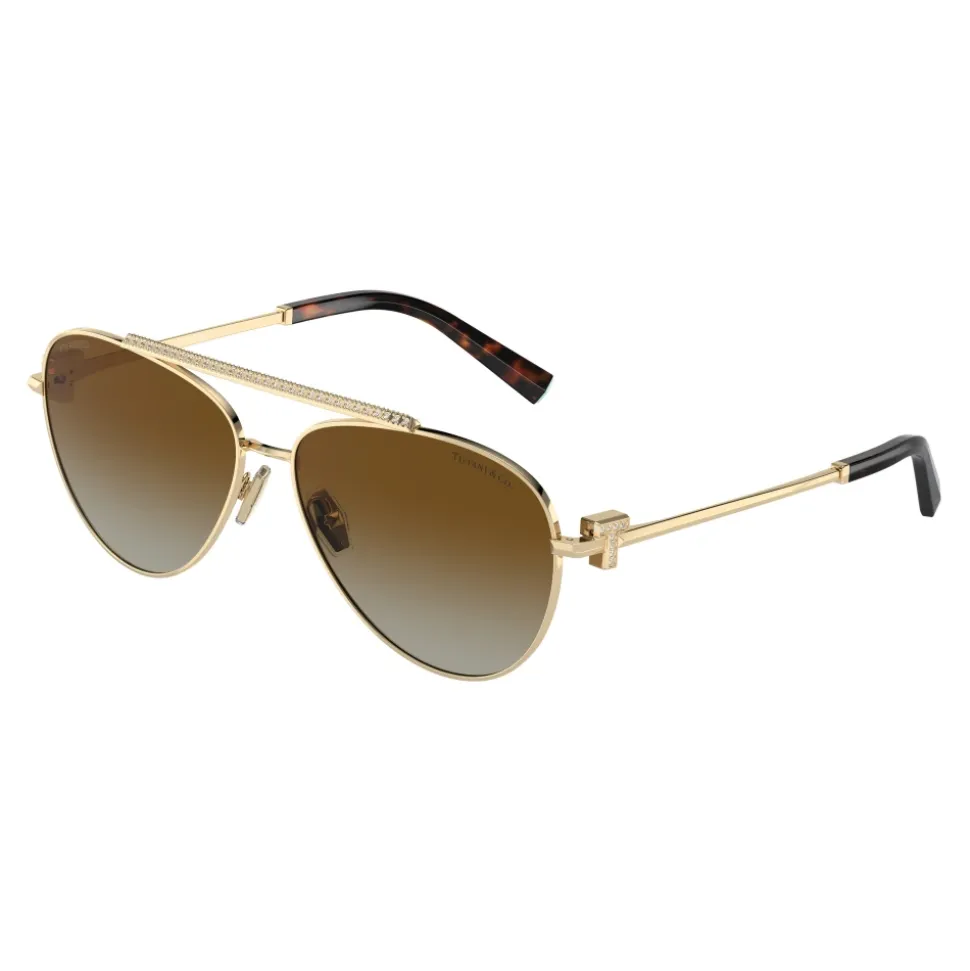 Lunettes de soleil élégantes en dégradé marron