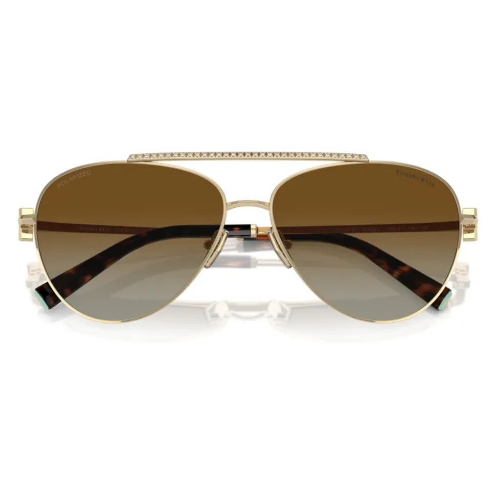 Lunettes de soleil élégantes en dégradé marron