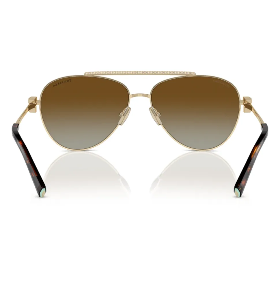 Lunettes de soleil élégantes en dégradé marron