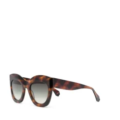 Lunettes de Soleil Marron/Havane avec Accessoires