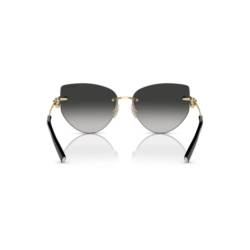 Lunettes de soleil TF3096 Modèle 60213C