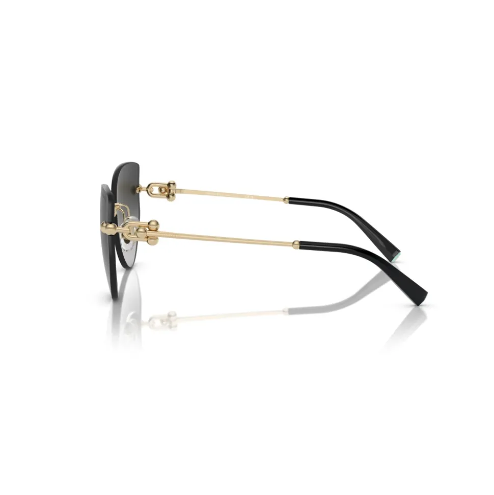 Lunettes de soleil TF3096 Modèle 60213C