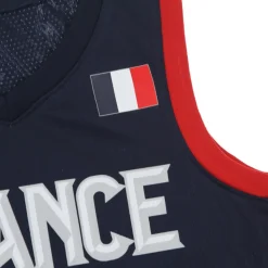 Maillot de Basketball Jordan Limited France Road
