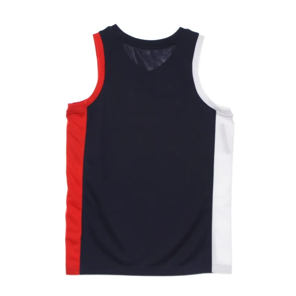 Maillot de Basketball Jordan Limited France Road