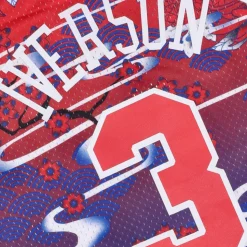 Maillot Swingman 5.0 Hardwood Classics 1996