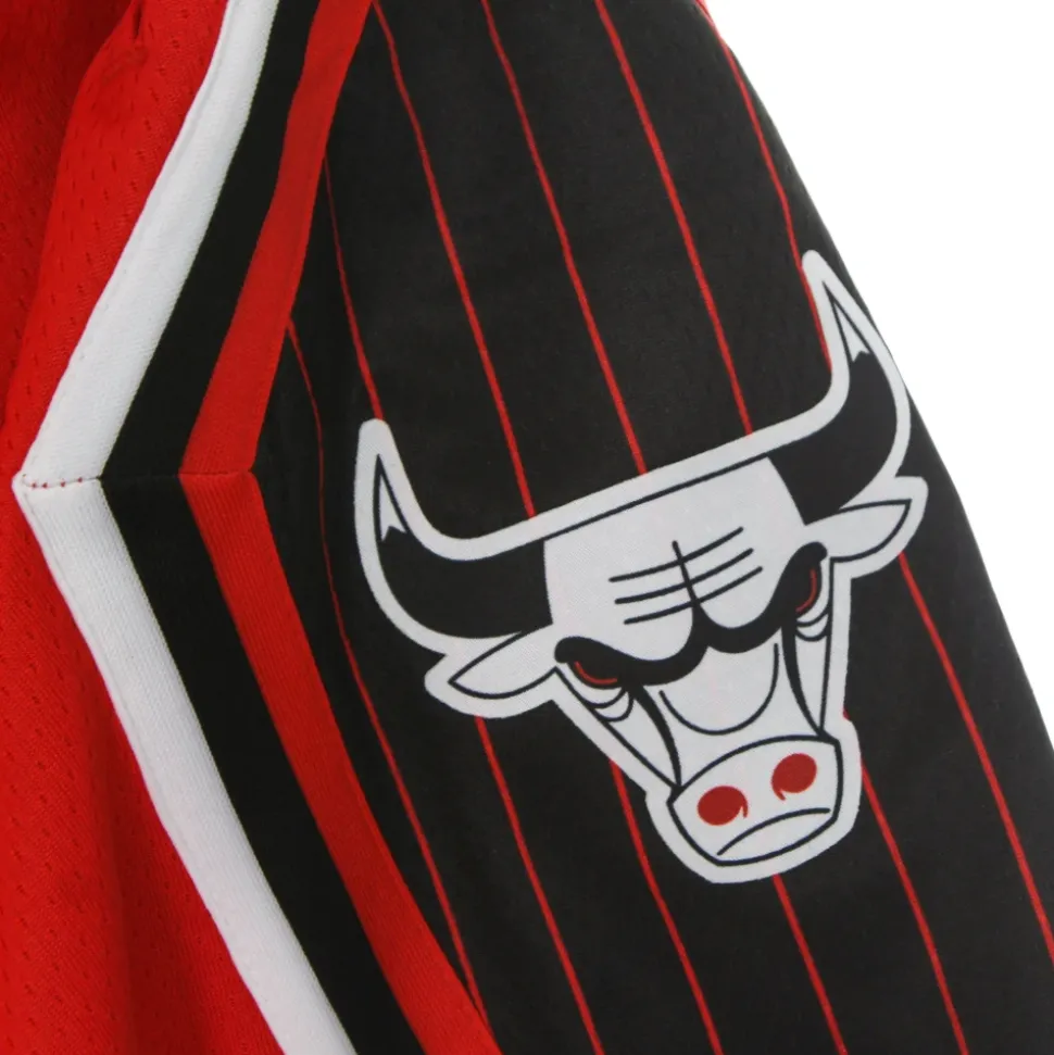 Shorts de Basket Chicago Bulls