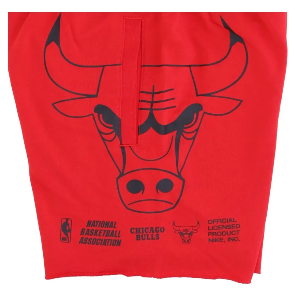 Shorts Molleton Chicago Bulls