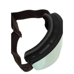 Ski goggles