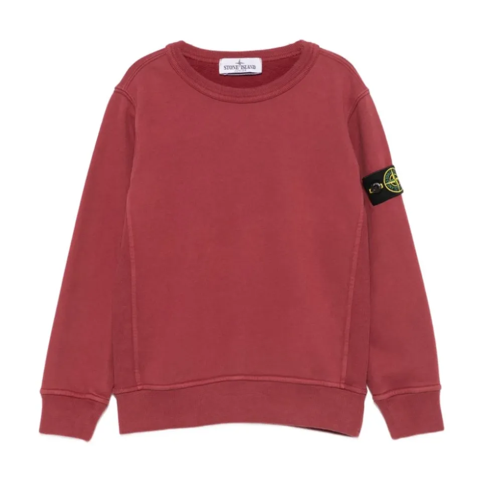 Sweatshirts Stone Island