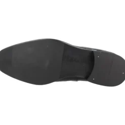 Zapato Cordones
